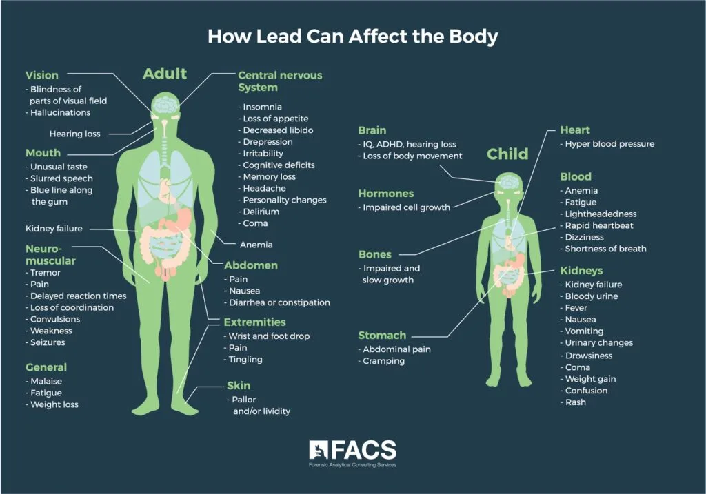 How Lead Can Affect the Body