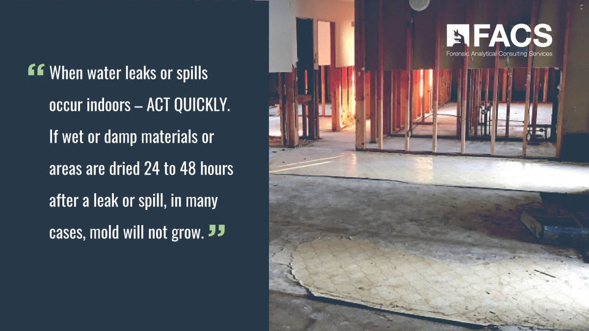 Act Quickly when water leaks or spills