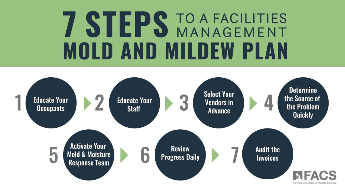 7 Steps to a Facilities Management Mold and Mildew Plan