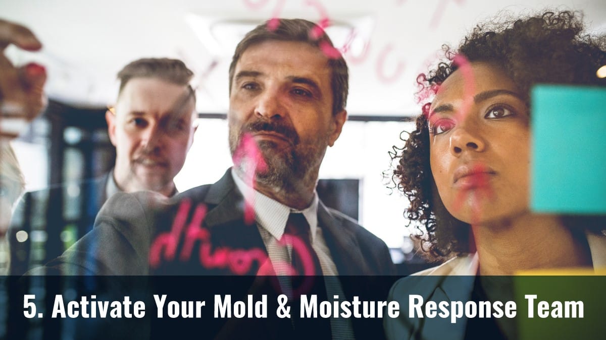 Activate Your Mold & Moisture Response Team