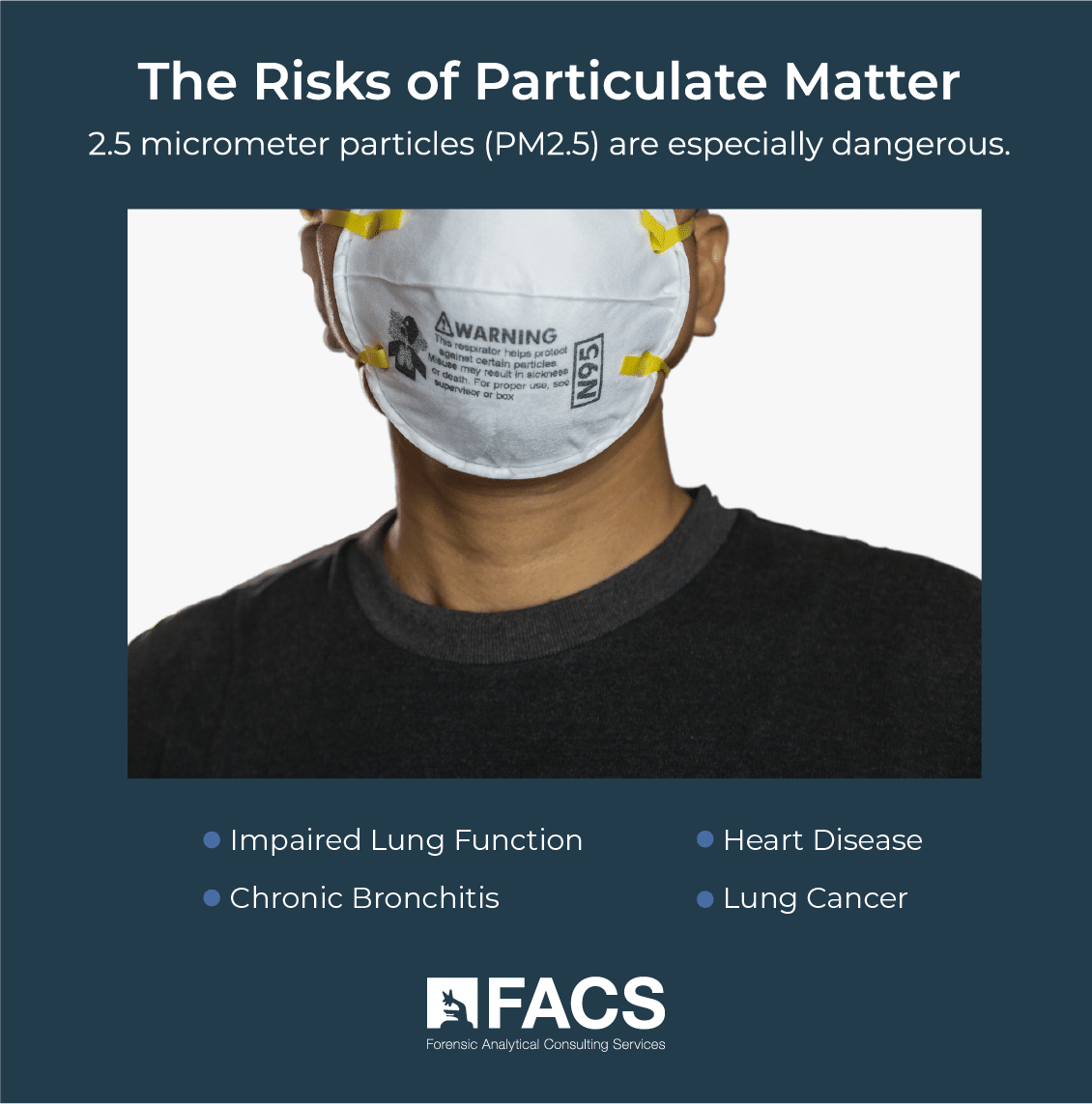 Risks of Particulate Matter