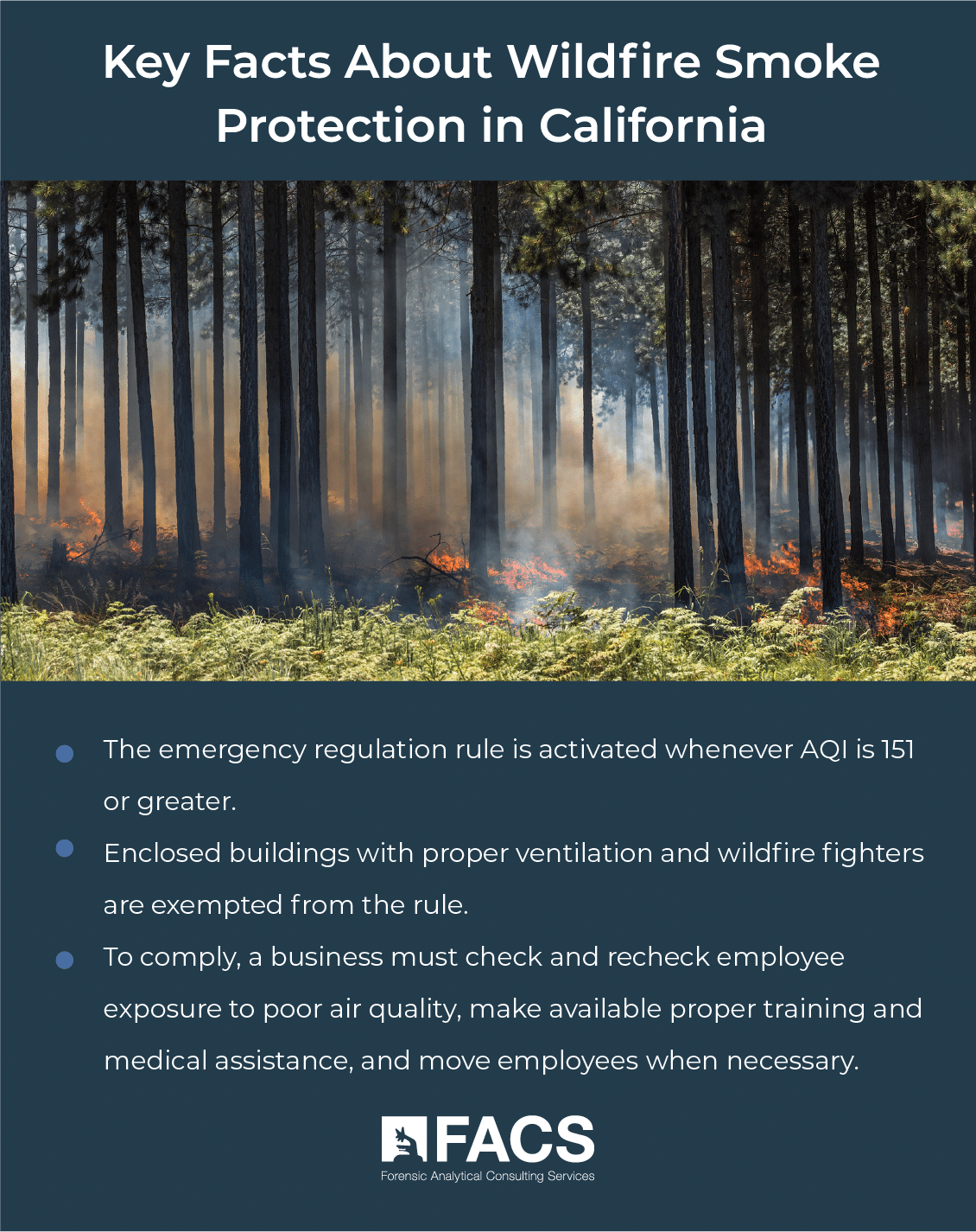 Key Facts About Wildfire Smoke Protection in California 