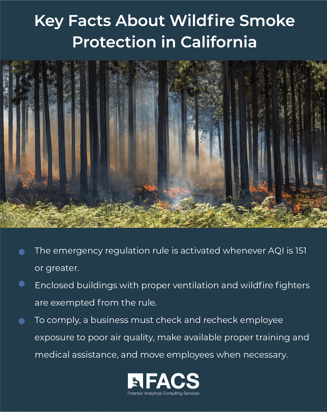 Key Facts About Wildfire Smoke Protection in California